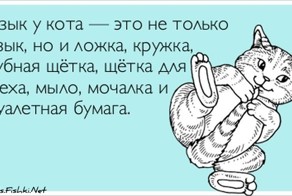 Прикольные открытки, часть 116498