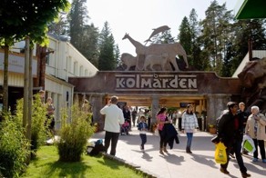 Волки убили сотрудницу зоопарка (3 фото)