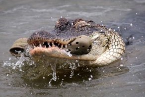 Красивые фото