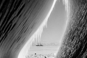 Бесплатно фото