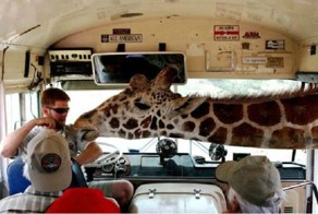 Новый фотоприкол