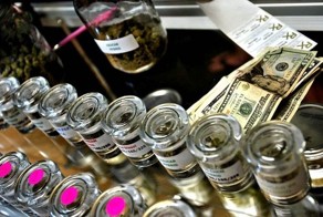 Заработок на медицинской марихуане (10 фото)