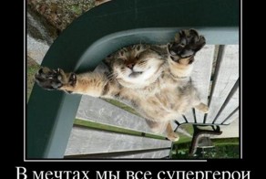 Смешной демотиватор от zubrilov за 22.06.2012 №116887