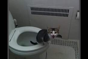 Смешной демотиватор от zubrilov за 22.06.2012 №116915