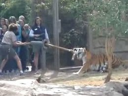 Подборка роликов от 09.07.2012