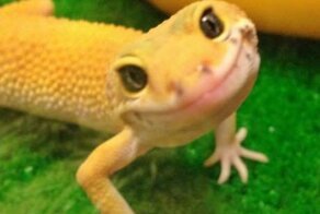 Улетное фото