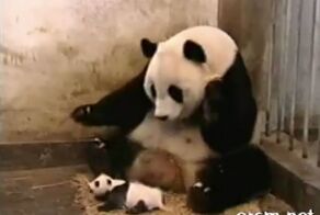 Подборка роликов от 12.07.2012