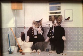 Фотография