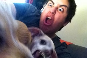 Фотоприкол фото