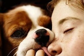 Смешные картинки