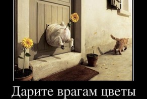 Смешной демотиватор от zubrilov за 20.04.2012 №118741