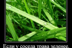 Смешной демотиватор от zubrilov за 20.04.2012 №118750