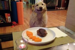 Фотоприкол онлайн бесплатно