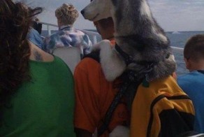 Бесплатно фото