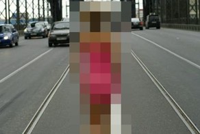 Найдена причина пробок в России (20 фото)