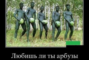 Смешной демотиватор от zubrilov за 04.07.2012 №119137