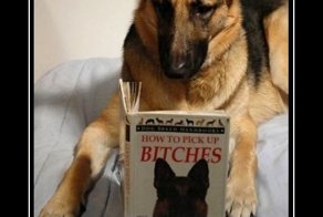 Смешной демотиватор от zubrilov за 04.07.2012 №119145