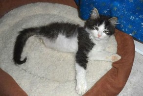 Нелегкая судьба (4 фото + 1 видео)