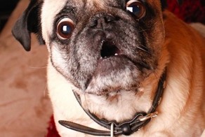 Улетное фото