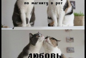 Бугагашеньки