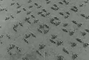 Масштабные мотошоу прошлого столетия