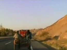 Как украсть овцу