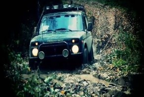 Нива в лесах под Красноармейском