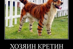 хозяин кретин