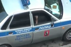 Дача взятки инспектору ДПС