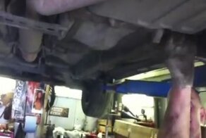 Спасли котенка из под машины