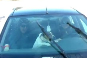 Дразнят собаку дворниками