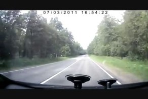 Переход дороги в неположенном месте