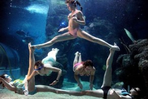 Фотоприкол онлайн бесплатно