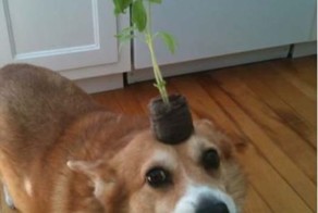 Улетное фото