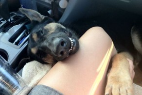 Пикантный фотоприкол