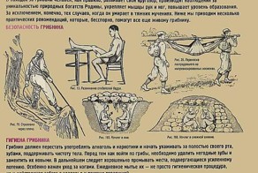 Смешной фотоприкол