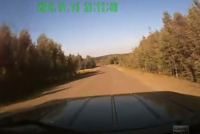 Авария дня часть 364 (фото+видео)