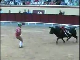 Бык напал на тореадора