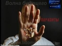 Паразиты внутри нас