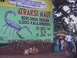 Отважный мужик