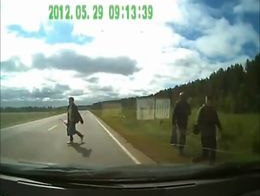 Старая ТП переходит дорогу