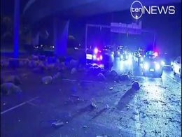 Дождь из овец