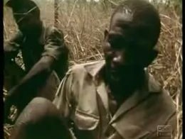 Ловля огромной змеи на живца