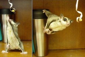 Бесплатно фото