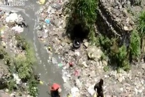 Экологическая катастрофа