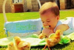 Новый фотоприкол