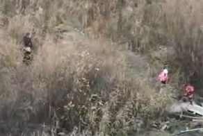 Извращенец в зарослях