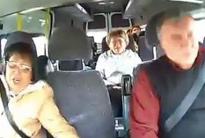 Дерево упало на дорогу