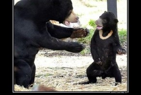 Смешной демотиватор от zubrilov за 11.07.2012 №120073