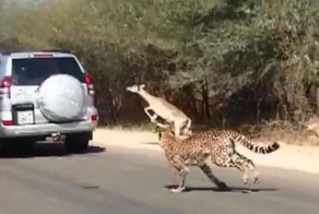 Случай в ЮАР